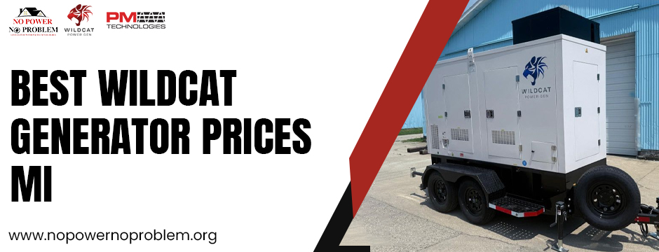 Best Wildcat generator prices MI