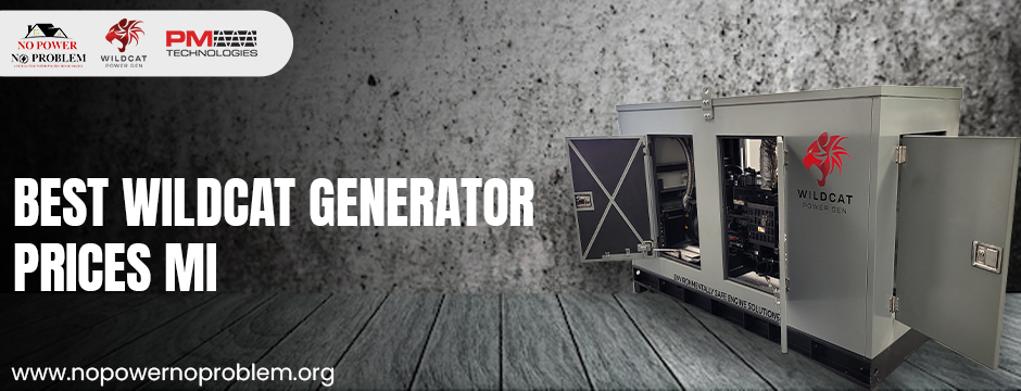 Best Wildcat generator prices MI